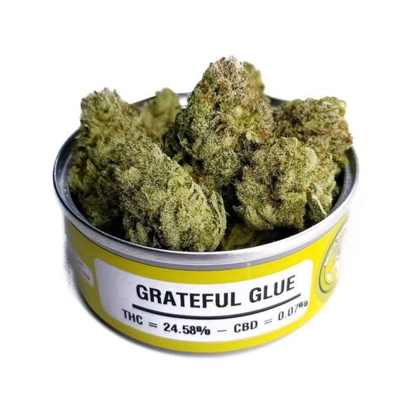 buy Grateful Glue