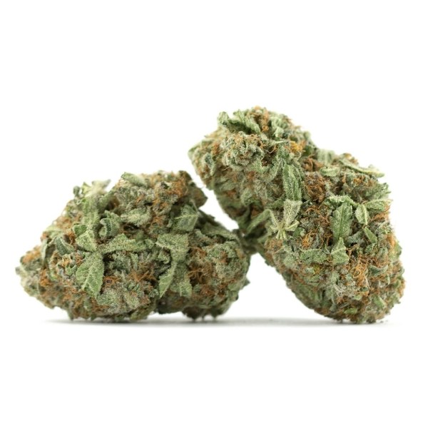 Durban Poison Marijuana