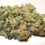 Sour Diesel Buds For Sale